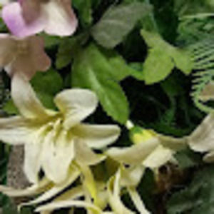 Meet your Posher, Seven